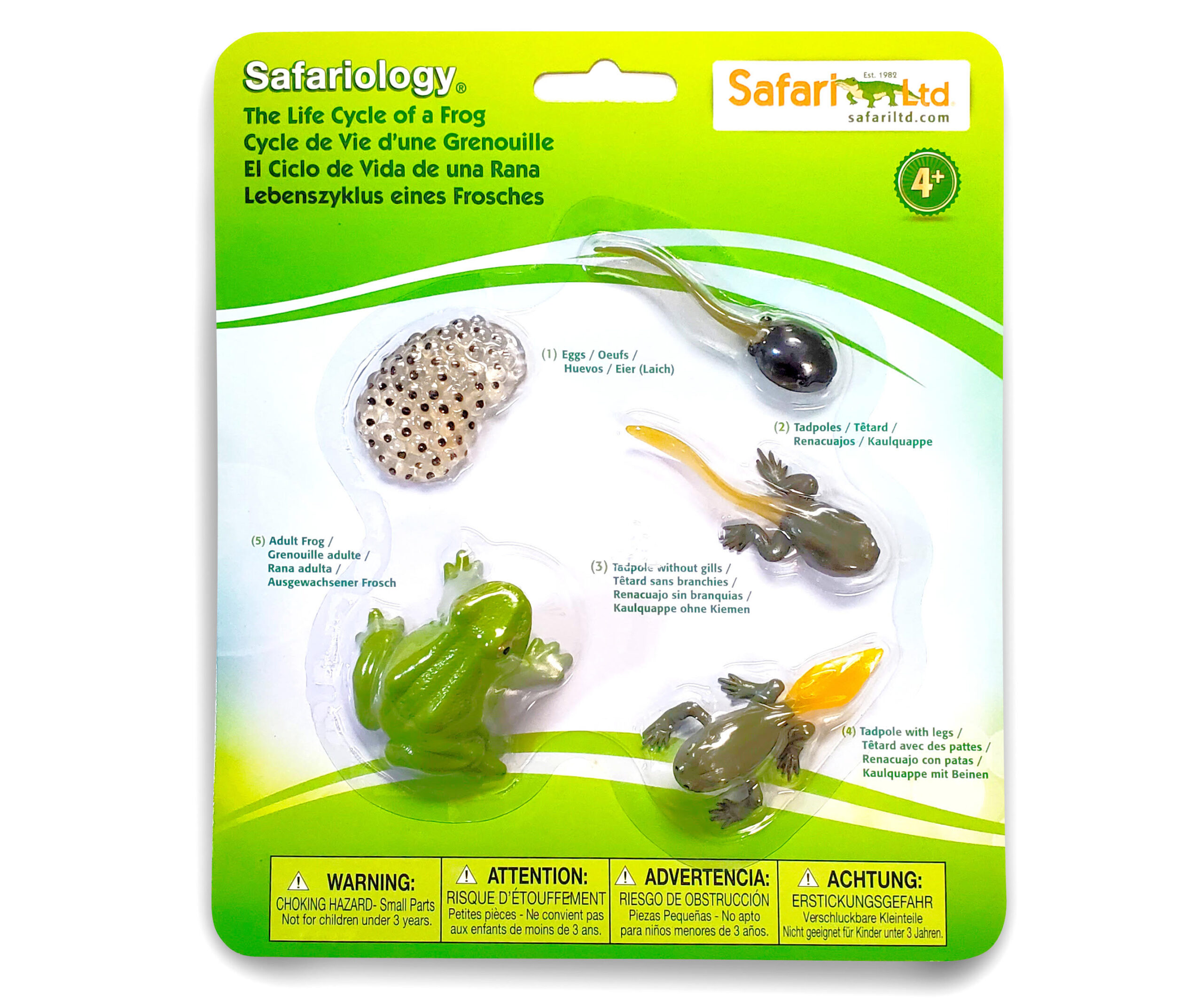 Frog life cycle figurines in pack
