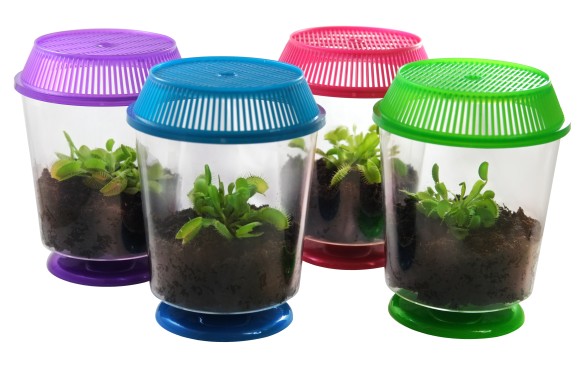 Nature Gift Store has a custom shipping process for our many live venus fly trap terrarium kits. If you are wondering where to buy a venus fly trap, buying them online is easy*we’ve been shipping flytraps for 15+ years! Buy a venus fly trap plant online with Our 15+ Years Shipping Experience.