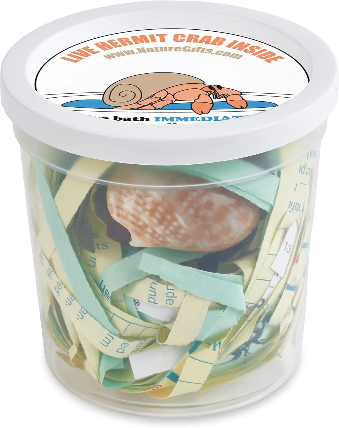 Custom shipping packaging for hermit crabs: save a trip for a Pet Smart hermit crab or Petco hermit crabs for just $8.99 shipping and an Active Crabs Guarantee.