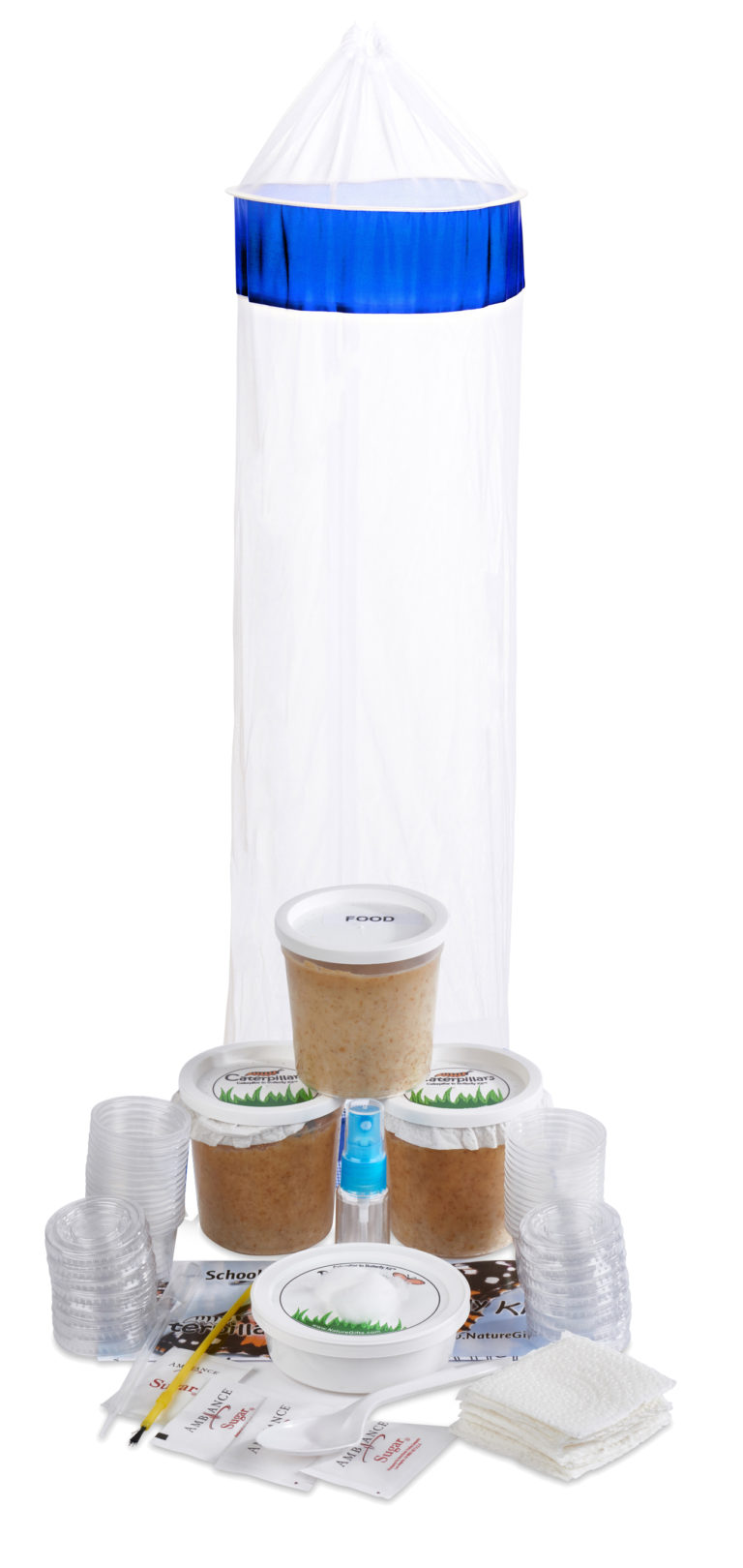 Caterpillar to Butterfly Kit Shipped with Live Caterpillars Nature