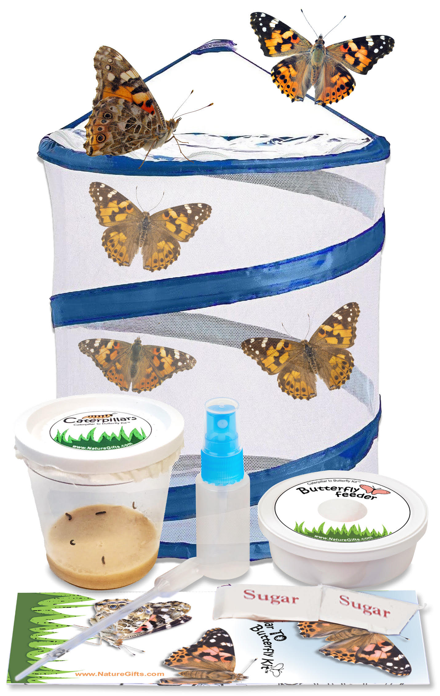 Butterfly growing kit- grow your own butterflies with our complete butterfly kit. All supplies included.