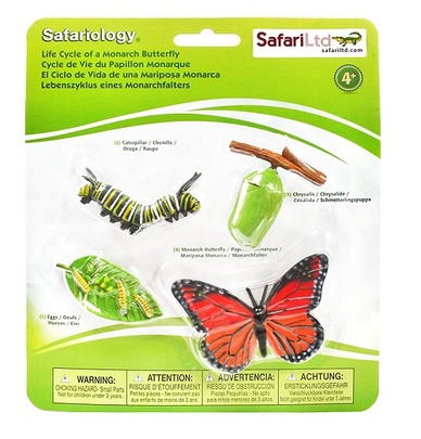 Butterfly Life Cycle Figurines: Toys For Curious Kids - Nature Gift Store