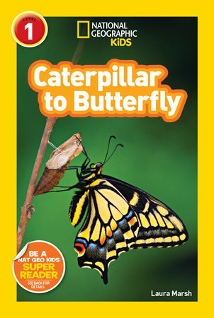 Caterpillar to Butterfly Life Cycle Book