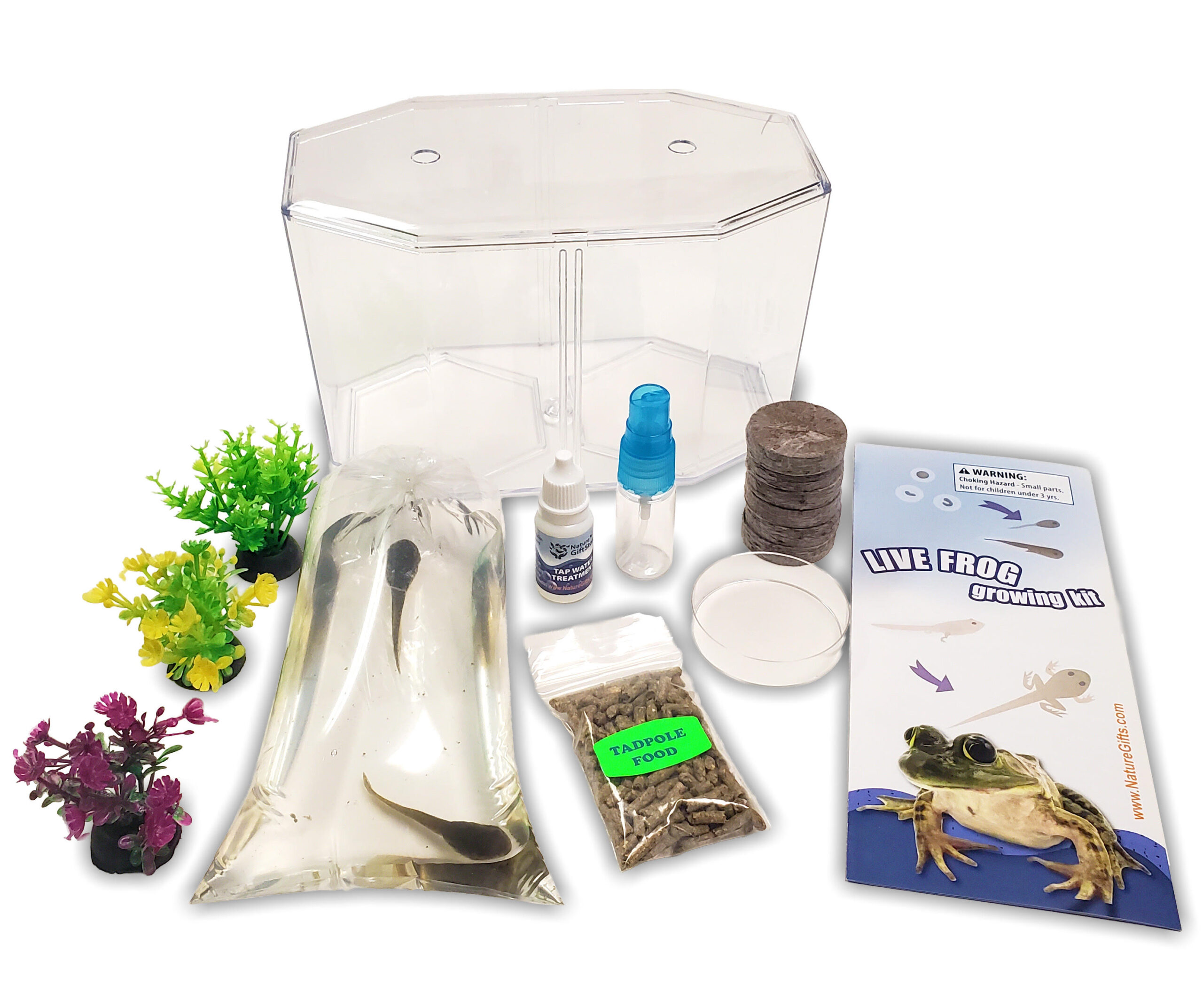 Grow a frog from a tadpole with our live tadpole kit! A unique way to observe and learn about the transformation of tadpoles into frogs.