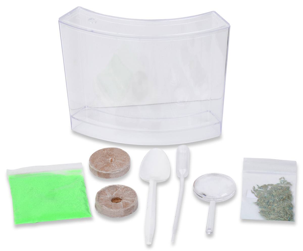 Worm Farm Kit