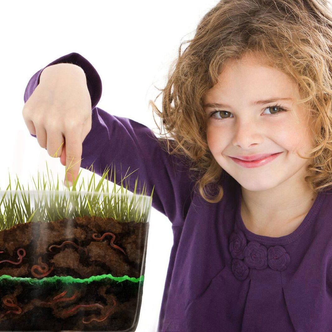 wormfarm-kid-1066x1066.jpg