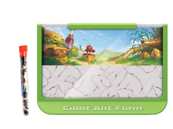 Giant-Ant-Farm-with-1-Tube-Ants–