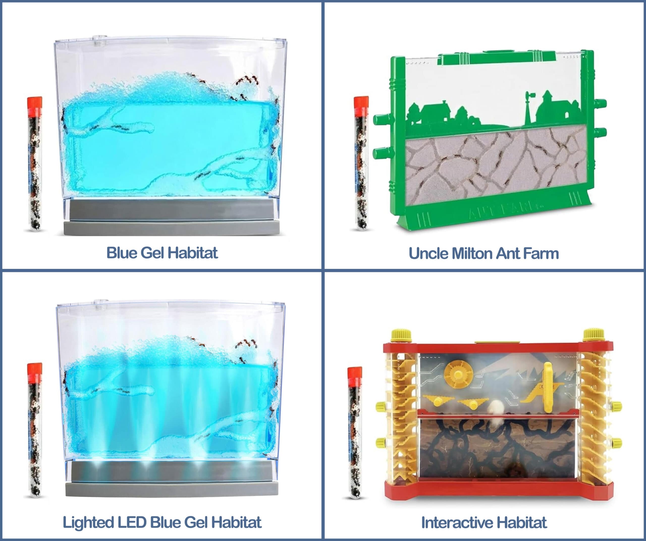 If you’re wondering why it’s been difficult to find an ant farm with ants and queen included, it’s for several reasons: the USDA does not permit shipping queen ants, and our ant farms for kids can’t fit a huge queen ant that makes thousands of new workers. We ship worker ants that happily make tunnels and show exciting active behaviors without one.
