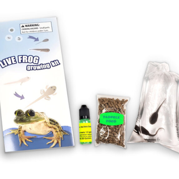 Teal Tadpole様 リクエスト 2点 まとめ商品 Teal Tadpole様 リクエスト 2点 まとめ商品 Teal Tadpole様 リクエスト