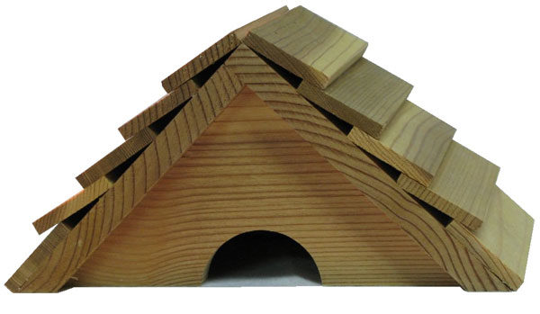 1917-toad-houses-l