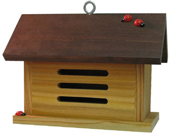 2018-lady-bug-house-l