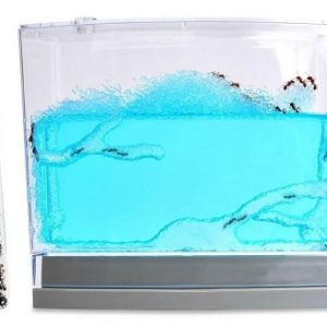 Gel Ant Habitat With 1 Tube Of Live Ants