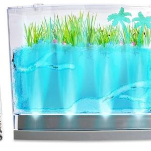Lighted Ecosystem Ant Habitat With Live Ants
