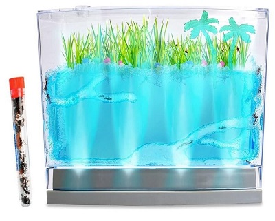 Ant habitat – Lighted ecosystem