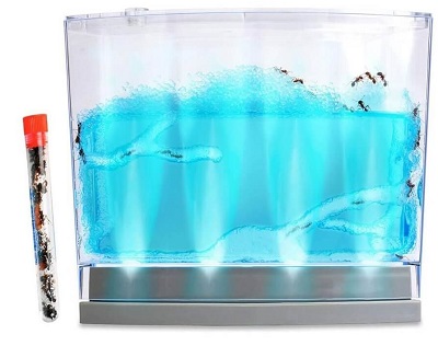 Lighted Gel Ant Habitat with 1 Tube of Ants