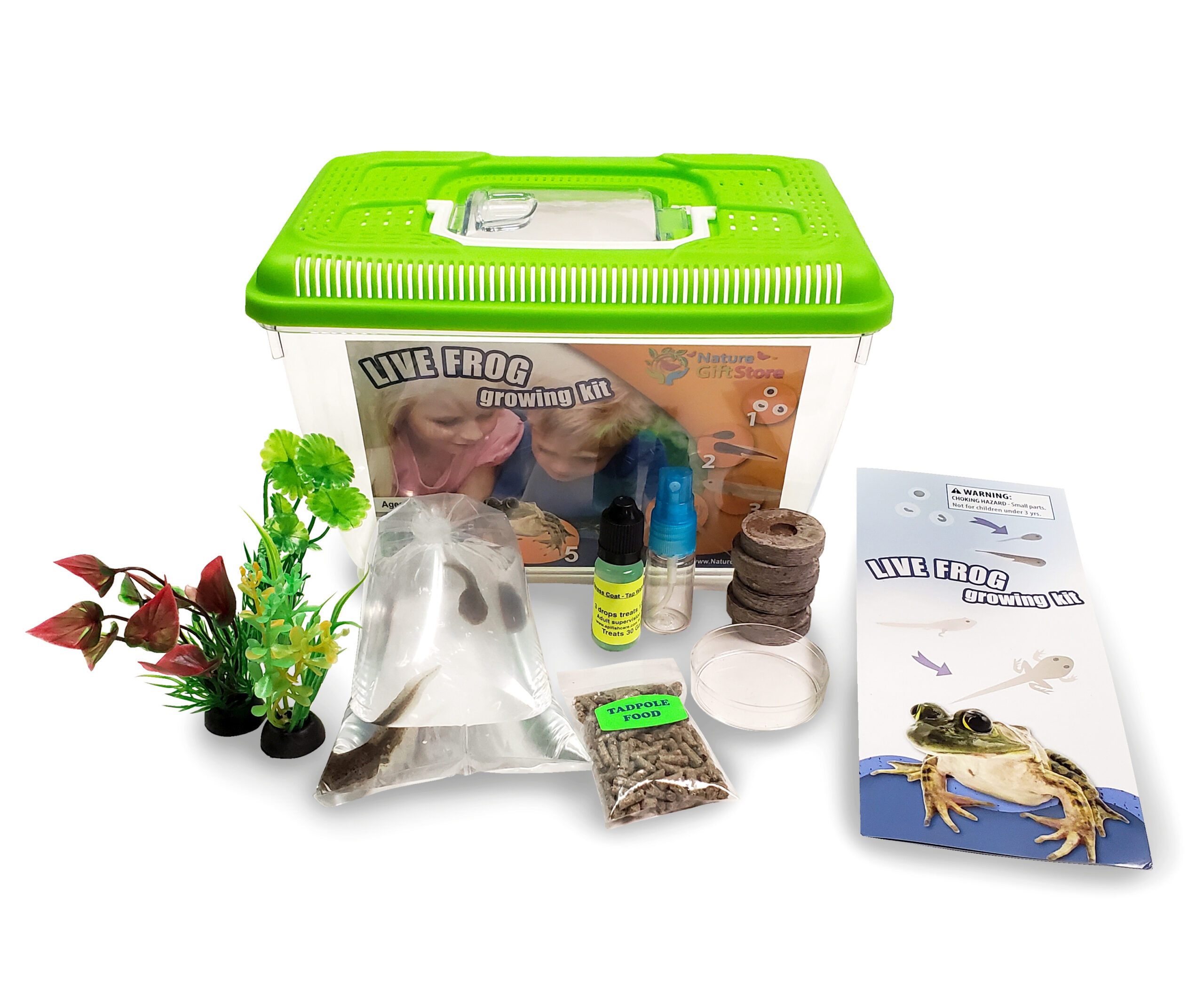 Tadpole to Frog Kit : Live Tadpole Kit