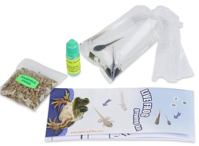 Live Leopard Frog Tadpoles: Tadpoles for Sale - Nature Gift Store