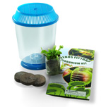 Buy a Venus fly trap starting at $14.95 in terrarium