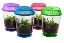Flytrap-assorted-colors-s
