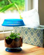 Flytrap-tissues-box-s