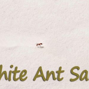 Ant Farm Sand Refill