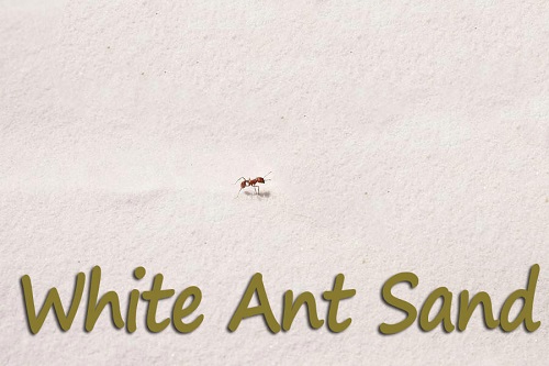 Ant Farm Sand Refill