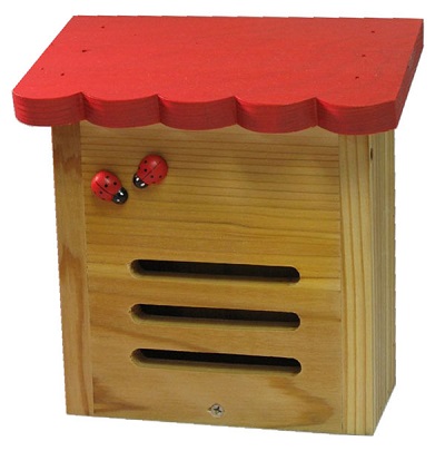2020-ladybug-houses-l