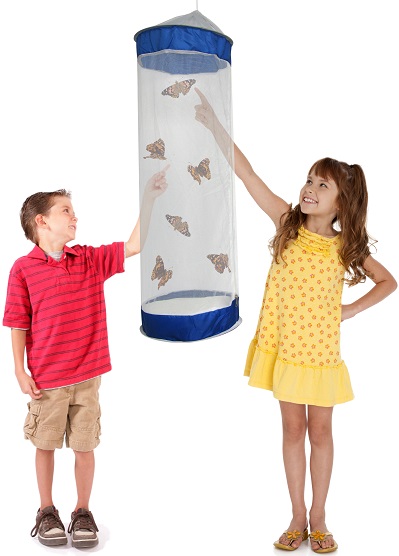 children-playing-with-caterpillar-butterfly-kit