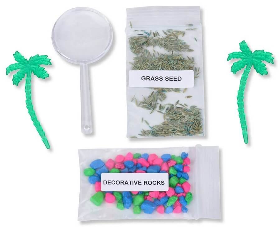 Colorful rocks with plant seeds