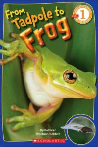 "From Tadpole to Frog" Book