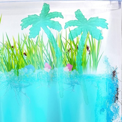 Ant habitat – Lighted ecosystem