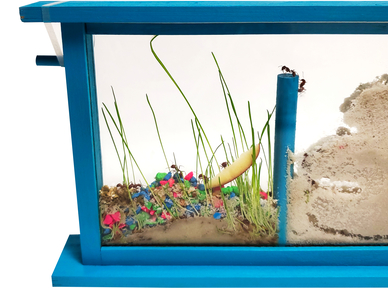 Ant Farm Kit