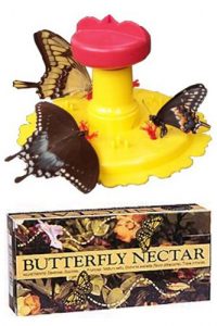 Butterfly Houses And Feeders Attract Butterflies To Your Garden