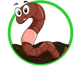 Worm Farms For Kids