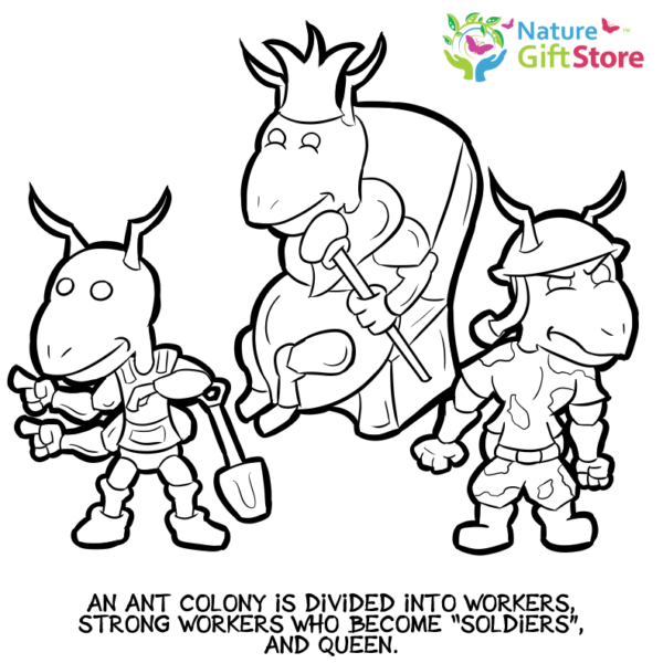 ants-coloring-page-1 - Nature Gift Store