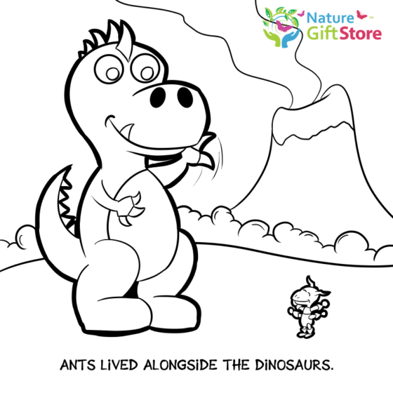 ants-coloring-page-12 - Nature Gift Store