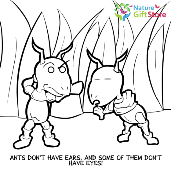 ants-coloring-page-17 - Nature Gift Store