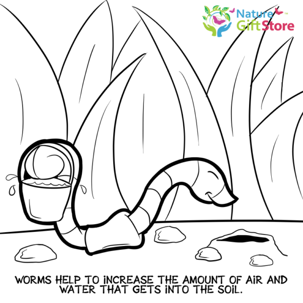 earthworms-coloring-page- (16) - Nature Gift Store
