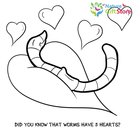 earthworms-coloring-page- (17) - Nature Gift Store