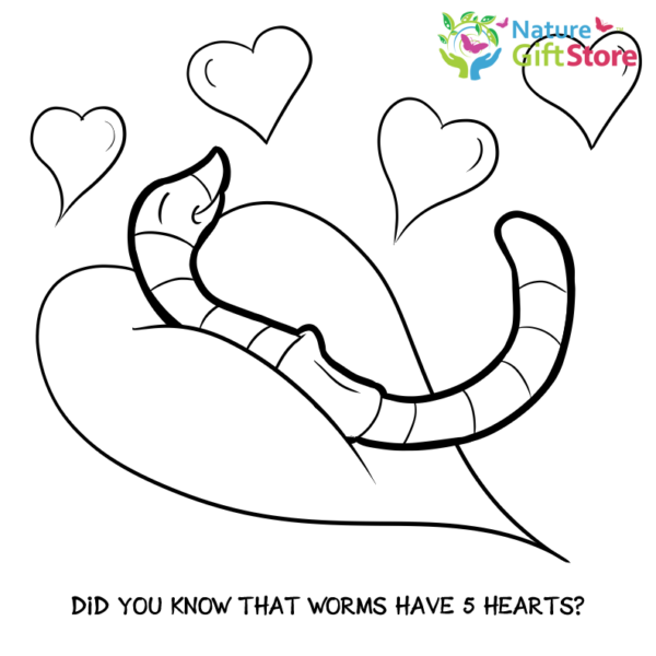 earthworms-coloring-page- (17) - Nature Gift Store