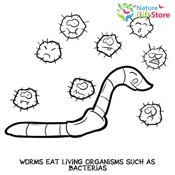 earthworms-coloring-page- (19) - Nature Gift Store