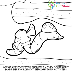 earthworms-coloring-page- (6) - Nature Gift Store