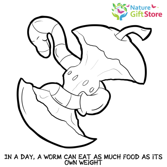earthworms-coloring-page- (7) - Nature Gift Store