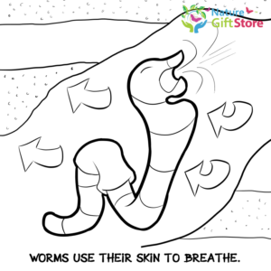 Download earthworms-coloring-page- (8) - Nature Gift Store