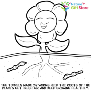 Download earthworms-coloring-page- (9) - Nature Gift Store