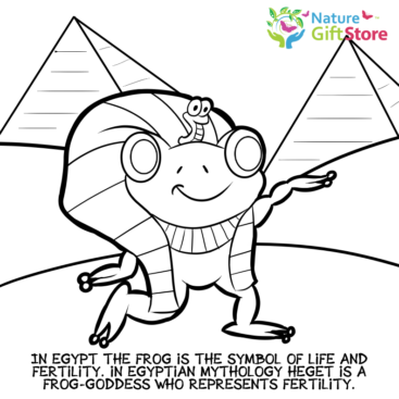 frogs-coloring-page- (13) - Nature Gift Store