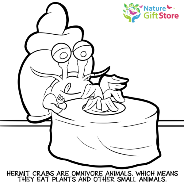 hermit-crabs-coloring-page- (14) - Nature Gift Store