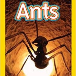 "Ants: National Geographic Kids" Book
