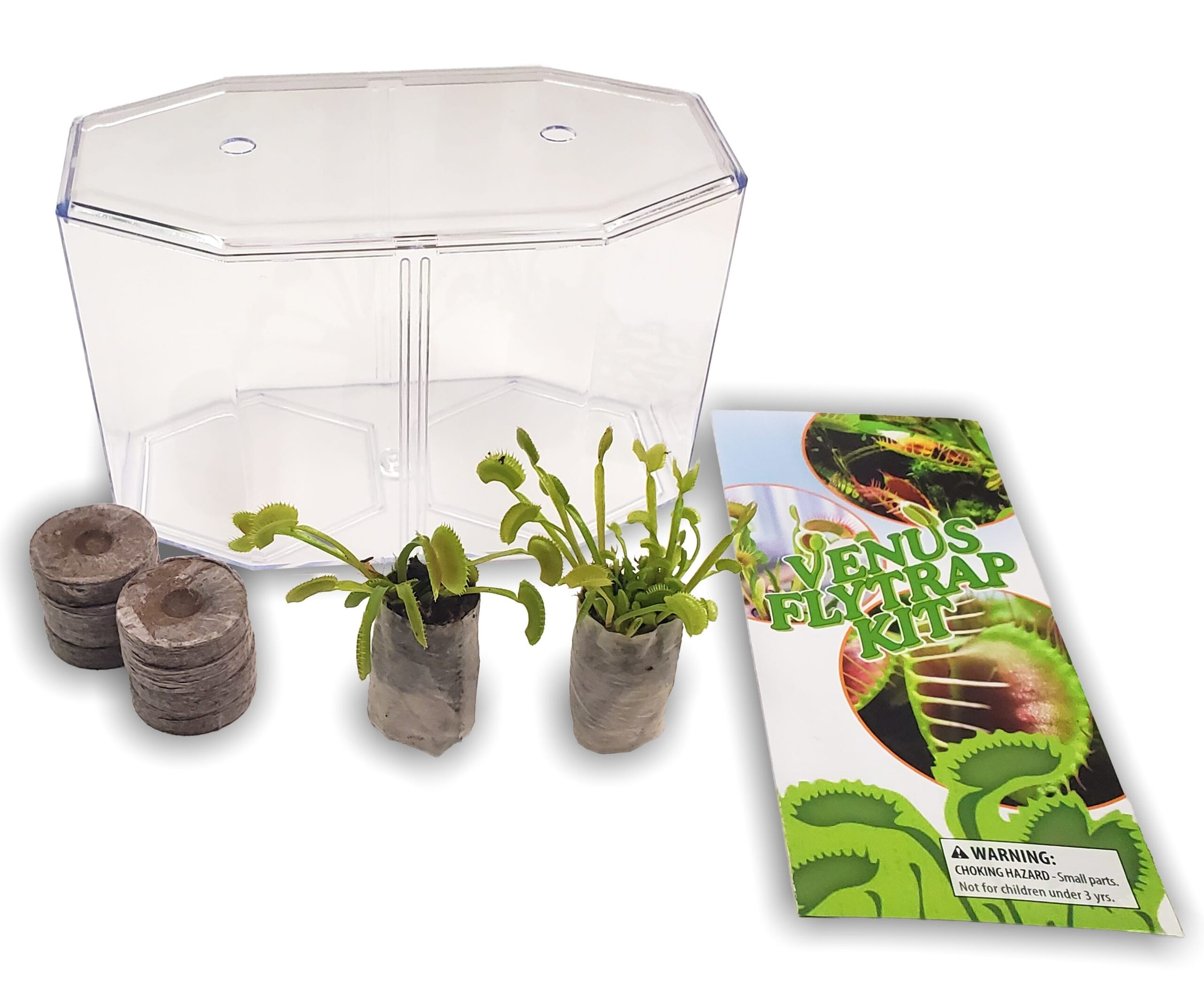 Live Deluxe Venus Fly Trap Terrarium Kit