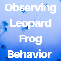 leopard-frog-behaviour-you-can-observe Leopard Frog Behaviour You Can Observe